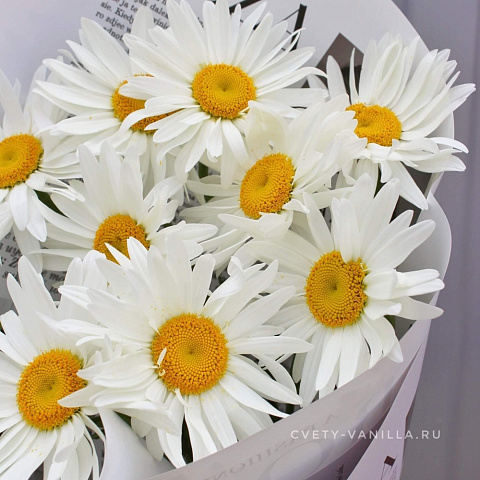 Букеты ромашек: Букет из больших ромашек