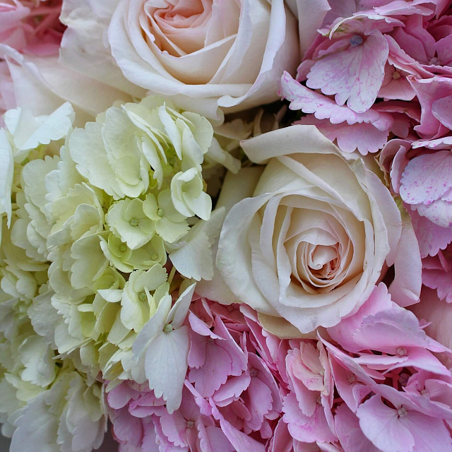 Цветы на праздник: Сборный букет "Ванилла"