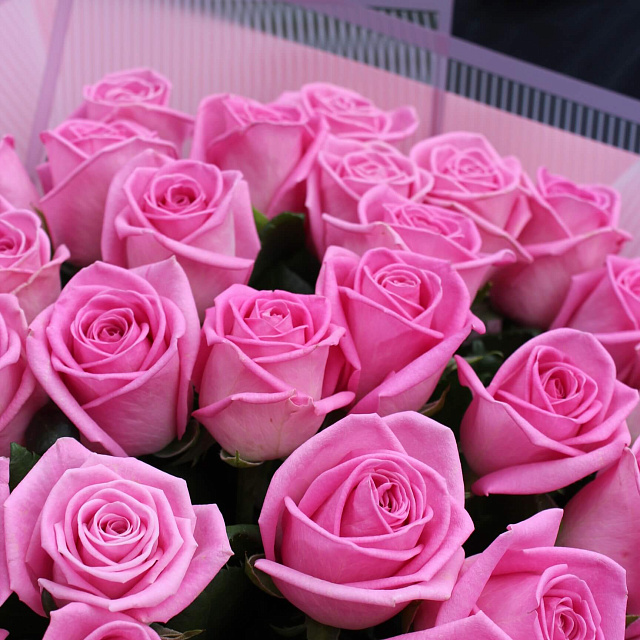 Букет из роз 60 см: Букет из 35 ароматных роз Аква 60 см