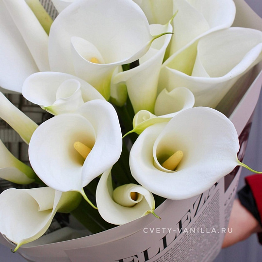 Стильные каллы в нежном оформлении