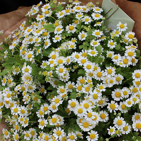 Букеты для ребенка: Букет ромашек в крафте