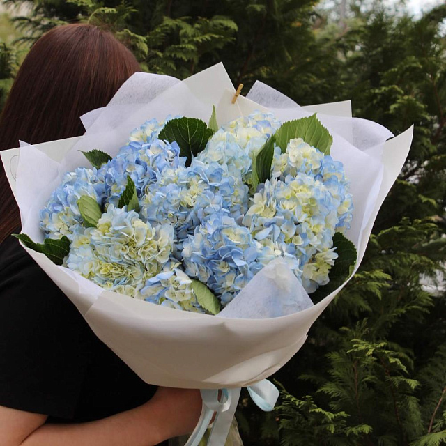 Букет из гортензии “Blue” 11 шт - изображение 2
