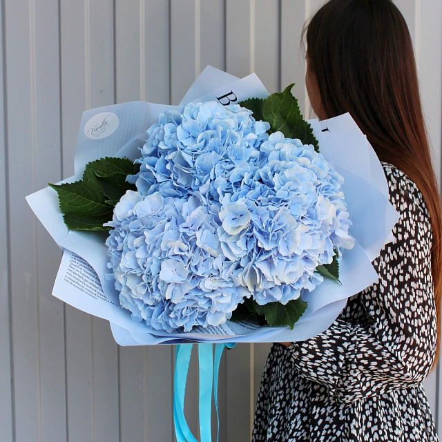 Букет из голубых гортензий - изображение 2