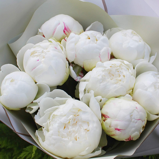 Ароматные белые пионы в оформлении