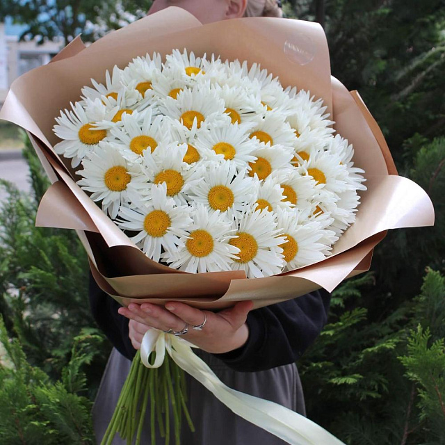 Букет из 37 белых ромашек в крафт бумаге - изображение 2