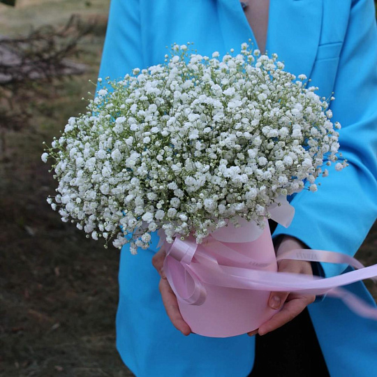 Белая гипсофила в коробке "Облако" - изображение 2