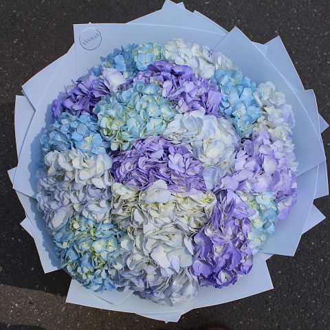 Цветы премиум-класса: Букет из гортензий Микс цветов