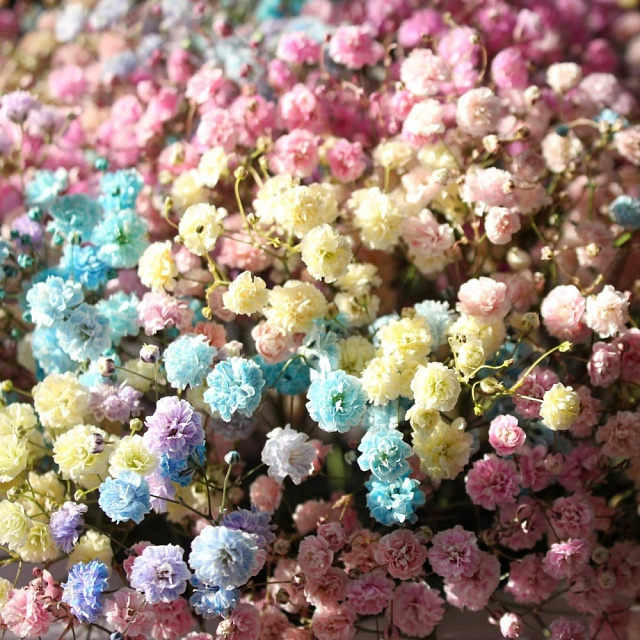 Бизнес букеты: Яркая гипсофила в шляпной коробке