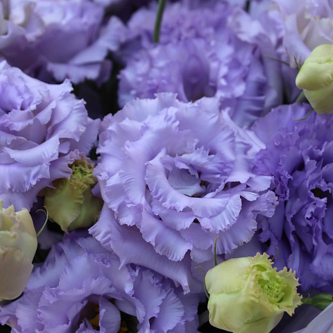 Цветы на выписку из роддома: Нежный букет из сиреневой эустомы