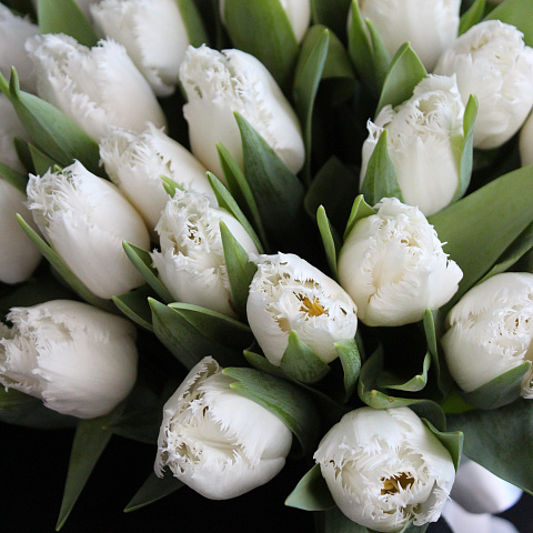 Необычные букеты: Букет из 39 махровых тюльпанов