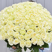101 белая роза "White" 