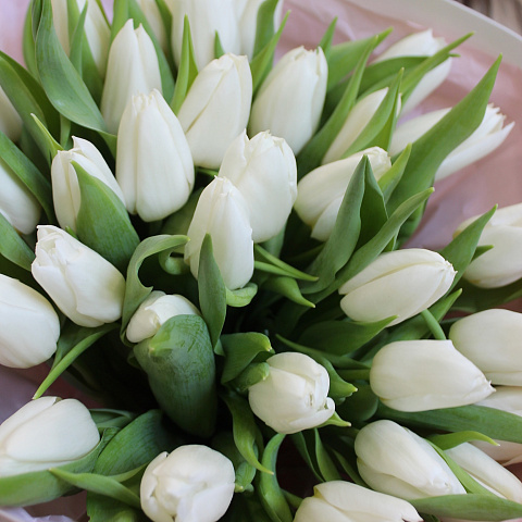 Монобукеты  цветов с доставкой: Букет из 31 белого тюльпана в нежном оформлении