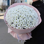 Ромашковый букет