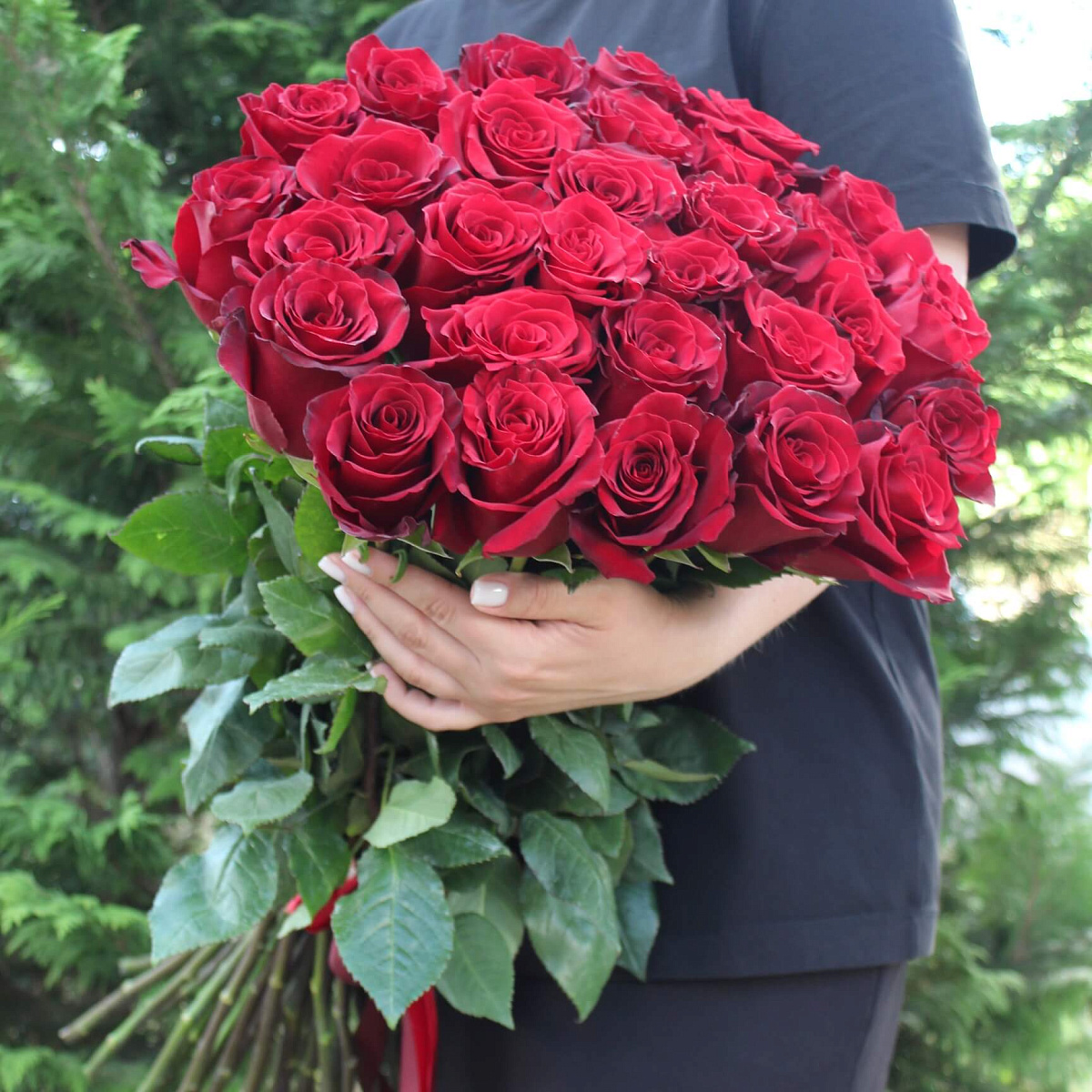 31 голландская красная роза 70 см