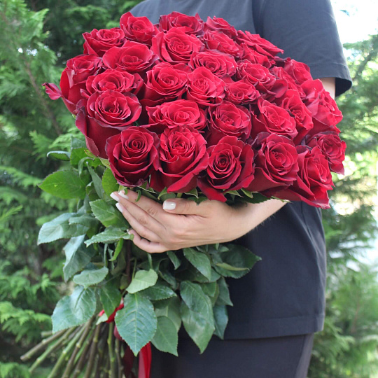 31 голландская красная роза 70 см