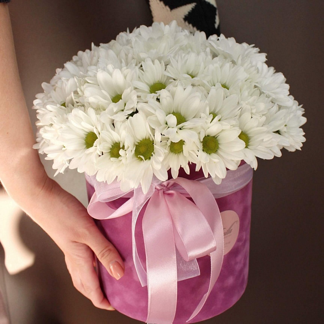 Цветы на праздник: Белоснежные хризантемы в бархатном цилиндре