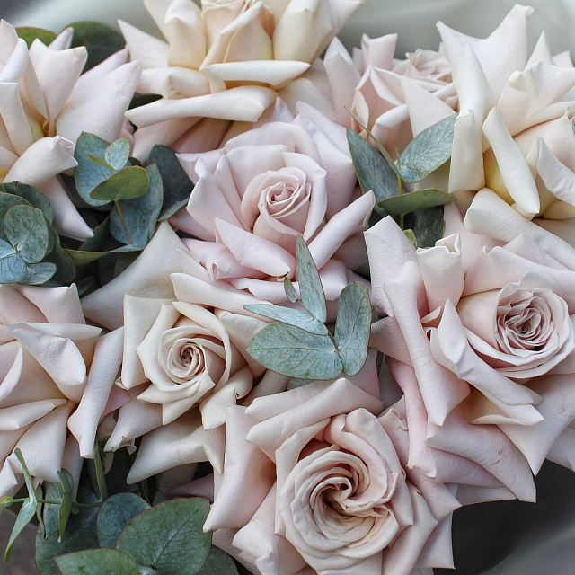 Букеты из 9 роз: Нежный букет из 9 роз с эвкалиптом