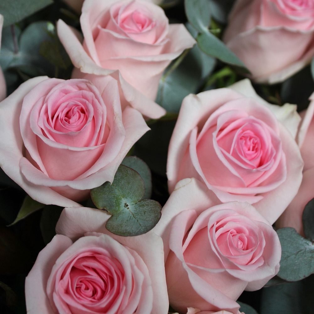 Букет из 15 розовых с эвкалиптом