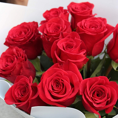 Букеты из 11 роз : Красная роза в белом оформлении 80 см