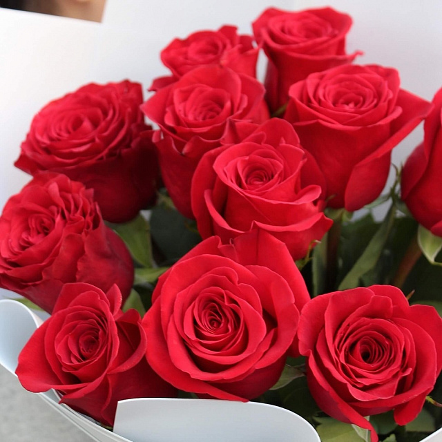 Цветы на праздник: Красная роза в белом оформлении 80 см
