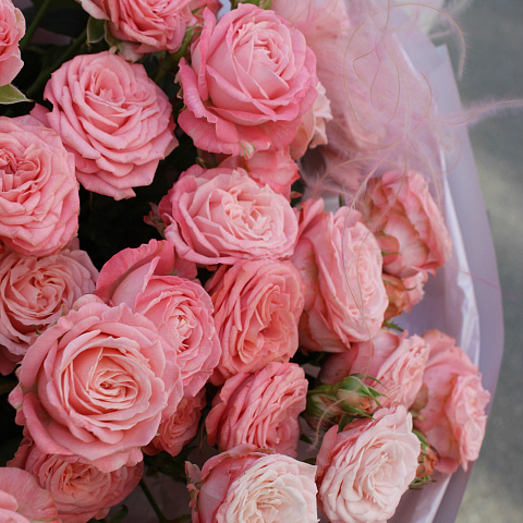 Букет из кремовых кустовых роз Бомбастик