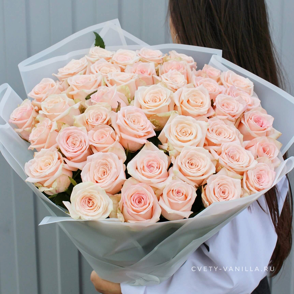 Роза персиковая "Кимберли" 41 шт