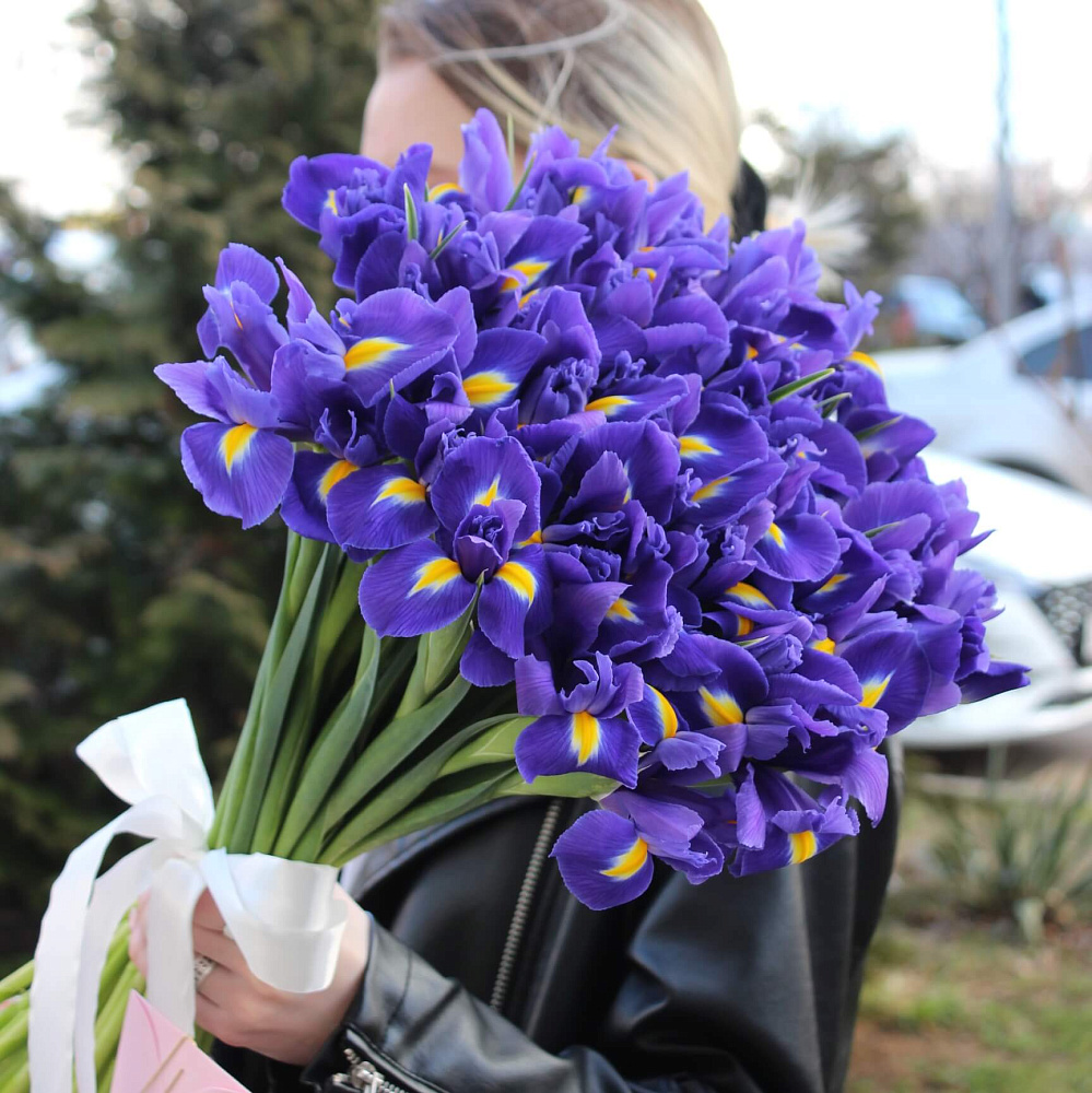 Букет из 39 ирисов