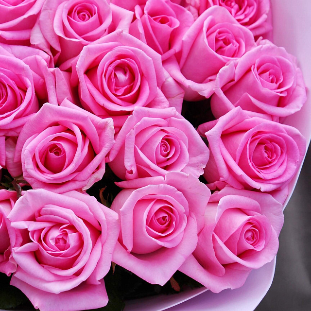 Букеты для жены: 31 роза Ревиваль 60 см