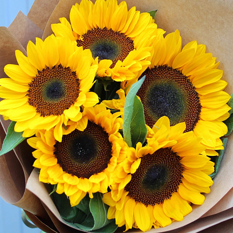 Букеты из различных цветов: Букет из 5 подсолнухов в крафтовой бумаге