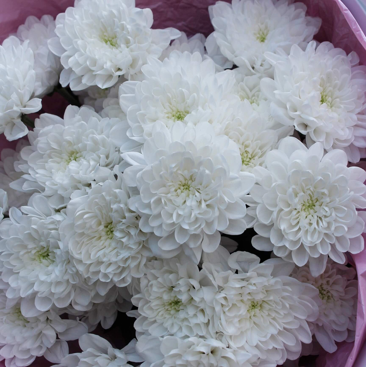 Стильный букет из хризантем