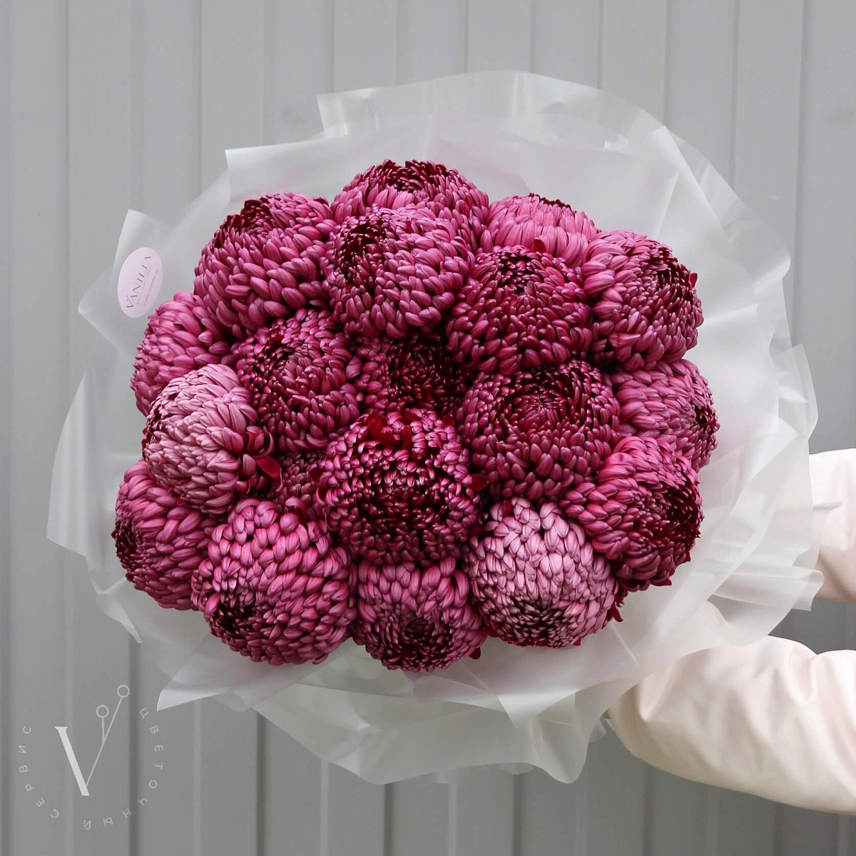 19 хризантем Бигуди Перпл