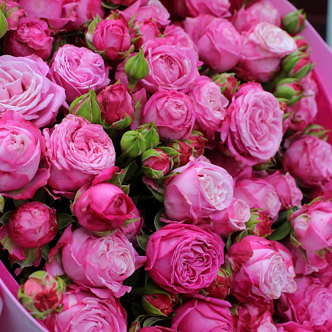 Цветы на юбилей: Букет из 15 веток розы Леди Бомбастик