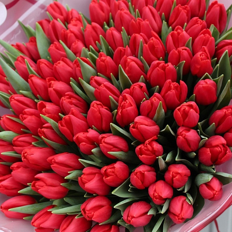 101 красный тюльпан в стильном оформлении