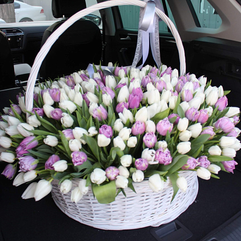 351 тюльпан в корзине VIP - изображение 2