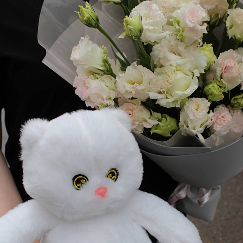 Подарки на 14 февраля: Милый котик