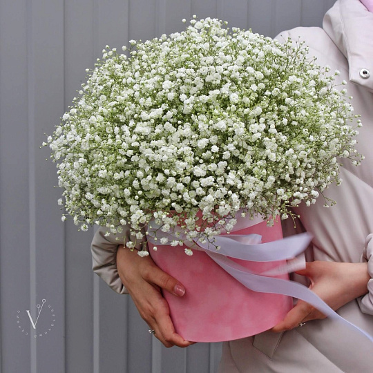 Белая гипсофила в цилиндре - изображение 2