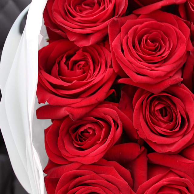 Букеты из роз: 21 роза Ред Наоми в нежном оформлении