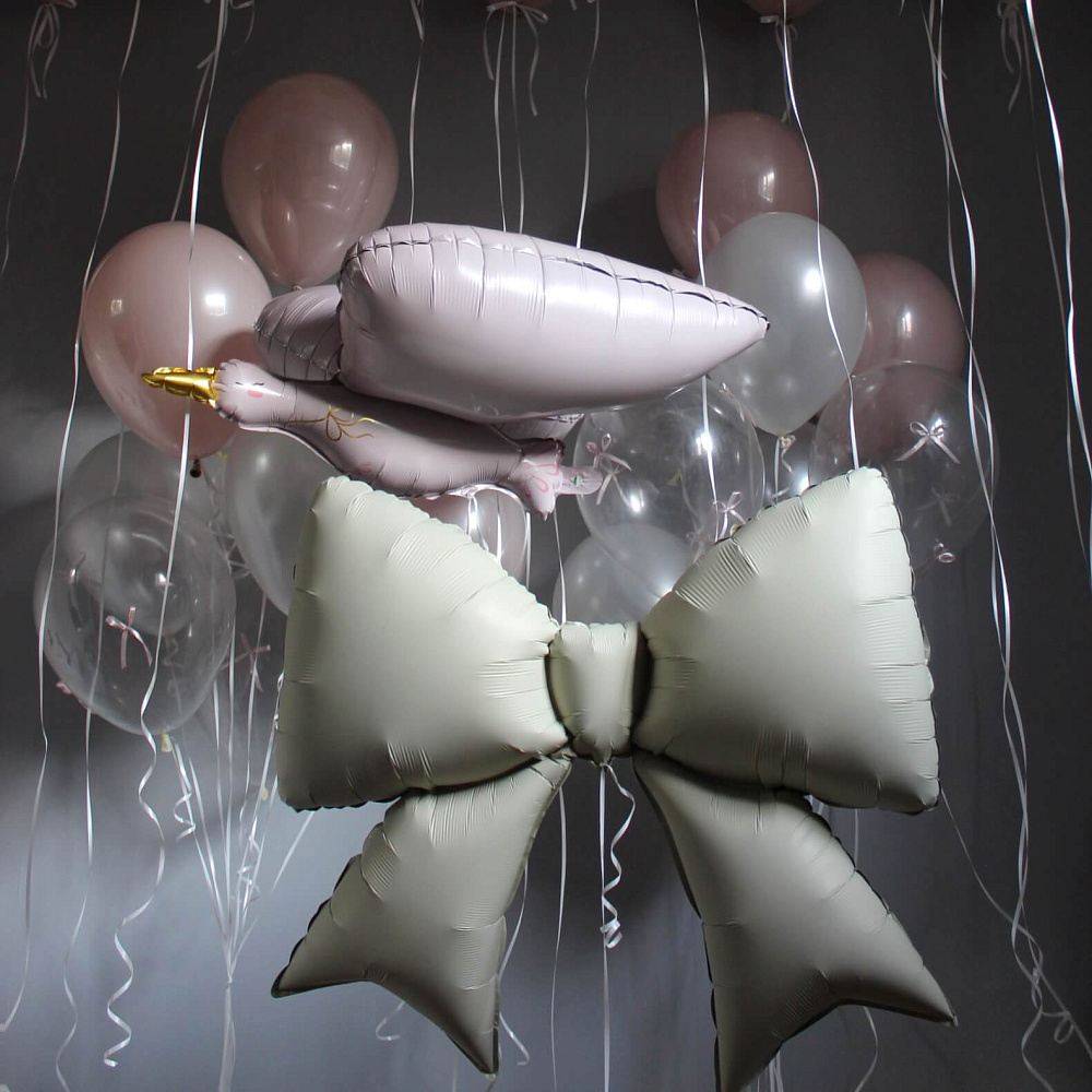 Сет шаров на выписку "Аист"