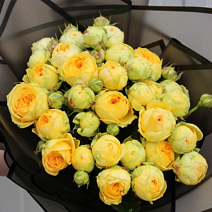 Букет из 10 веток желтой пионовидной розы