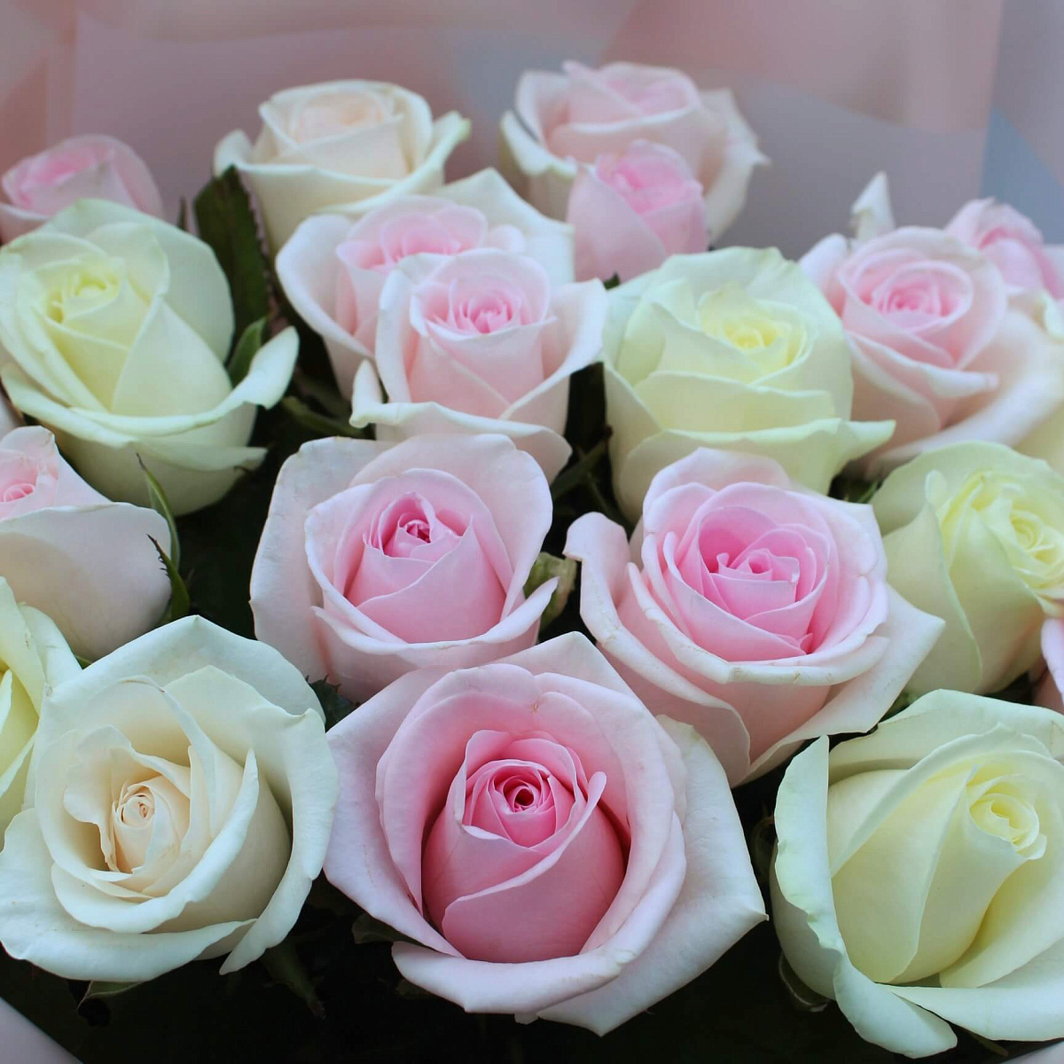 Букет из 21 розы микс Нежность