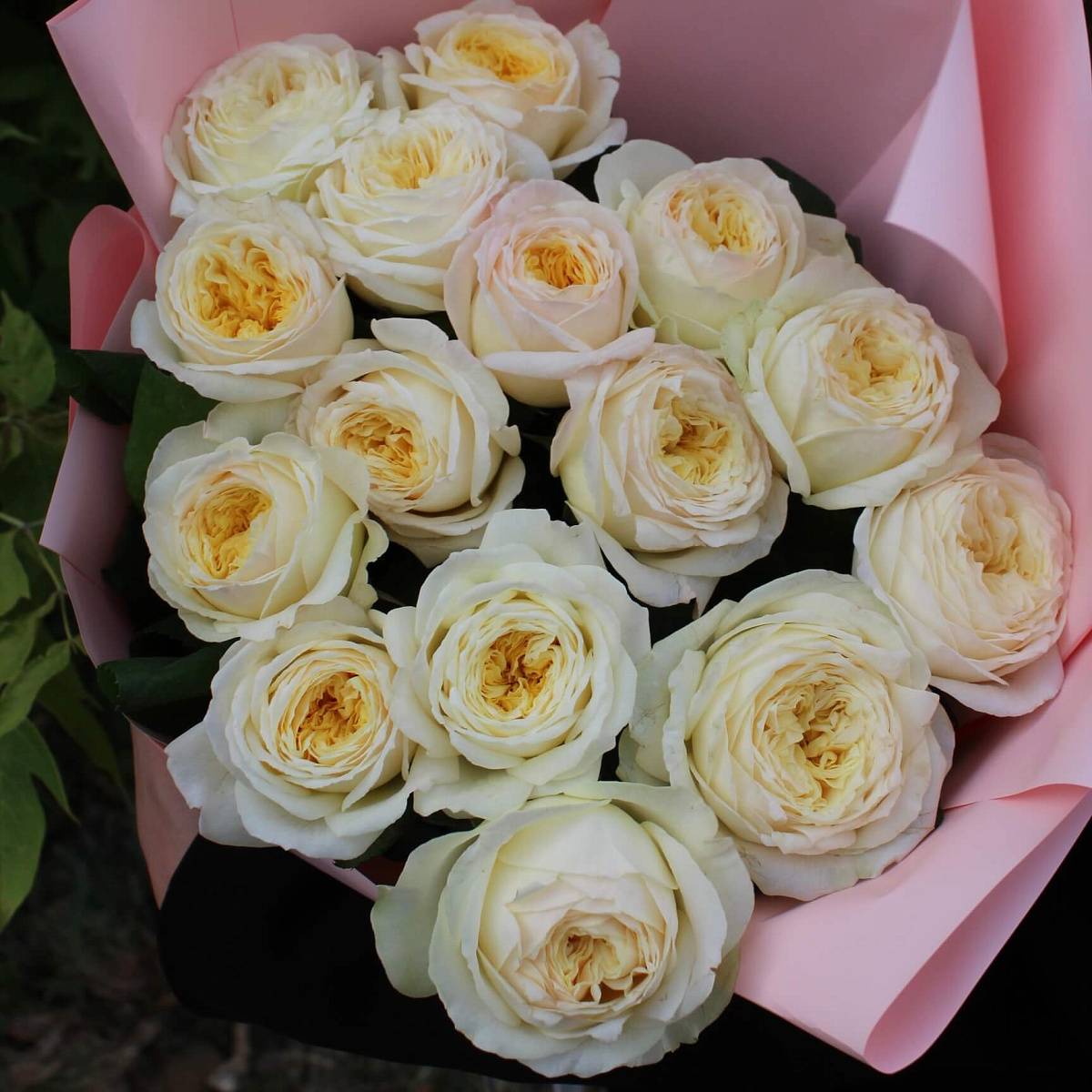 Букет из 15 пионовидных роз "Лондон"