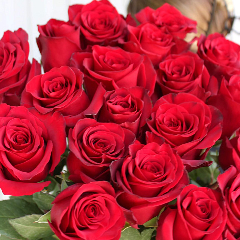 Букеты из бордовых роз: Букет из 21 розы Explorer 90 см