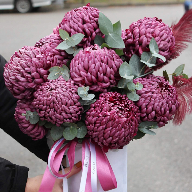 Цветы на праздник: бокс из хризантем бигуди перпл