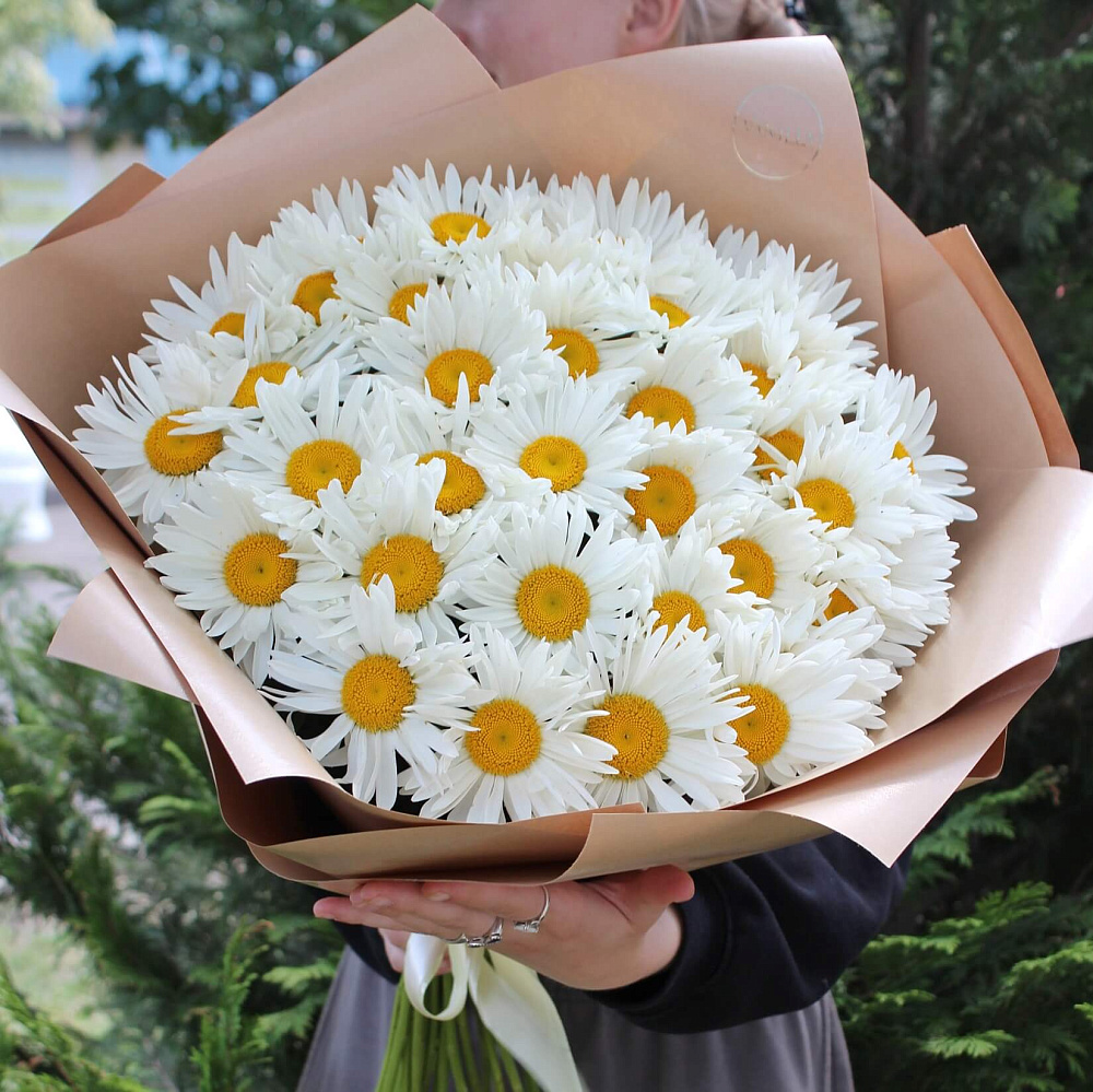 Букет из 37 белых ромашек в крафт бумаге