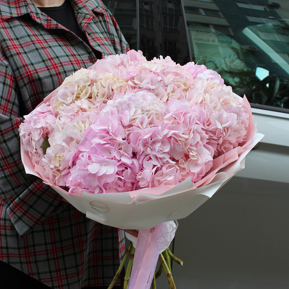 Букет из гортензии "Pink"