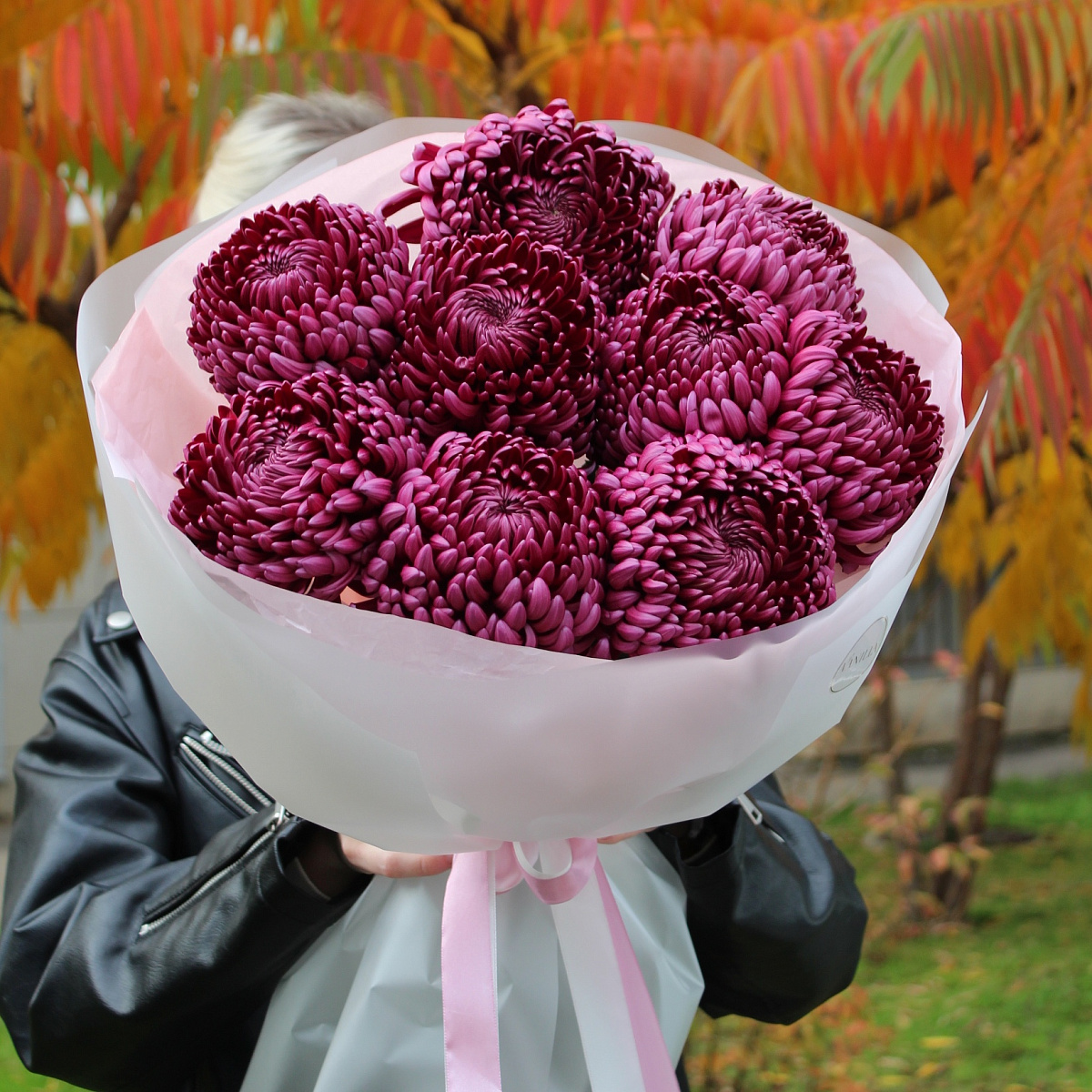 Букет из 9 хризантем Бигуди «Ягодный»