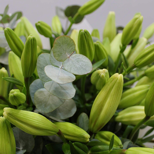 Цветы на 14 февраля: Букет из белых лилий и эвкалипта