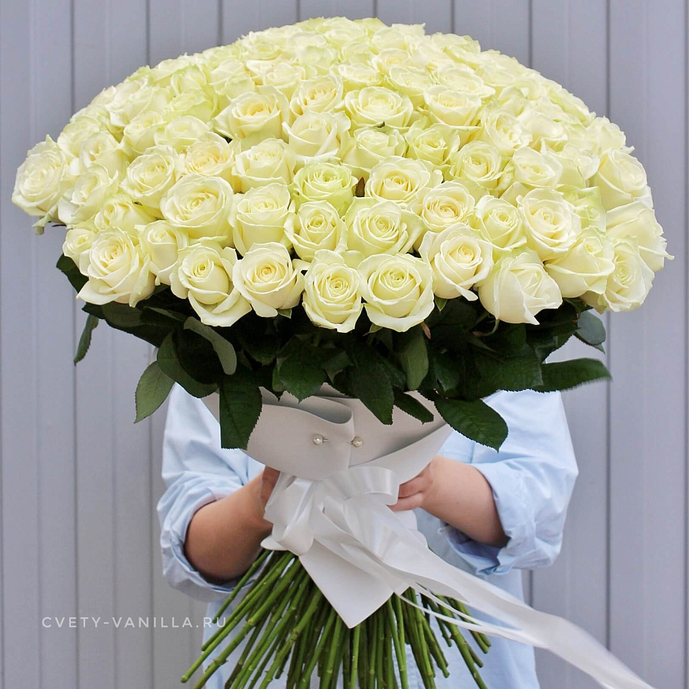 101 белая роза "White" 
