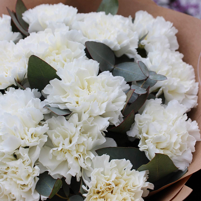 Цветы: Стильный букет из гвоздик