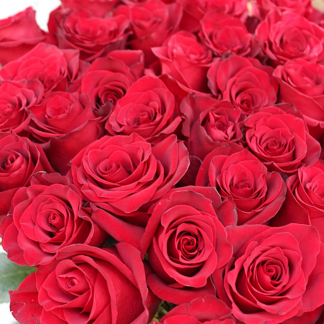 Букет из 35 роз Explorer 90 см